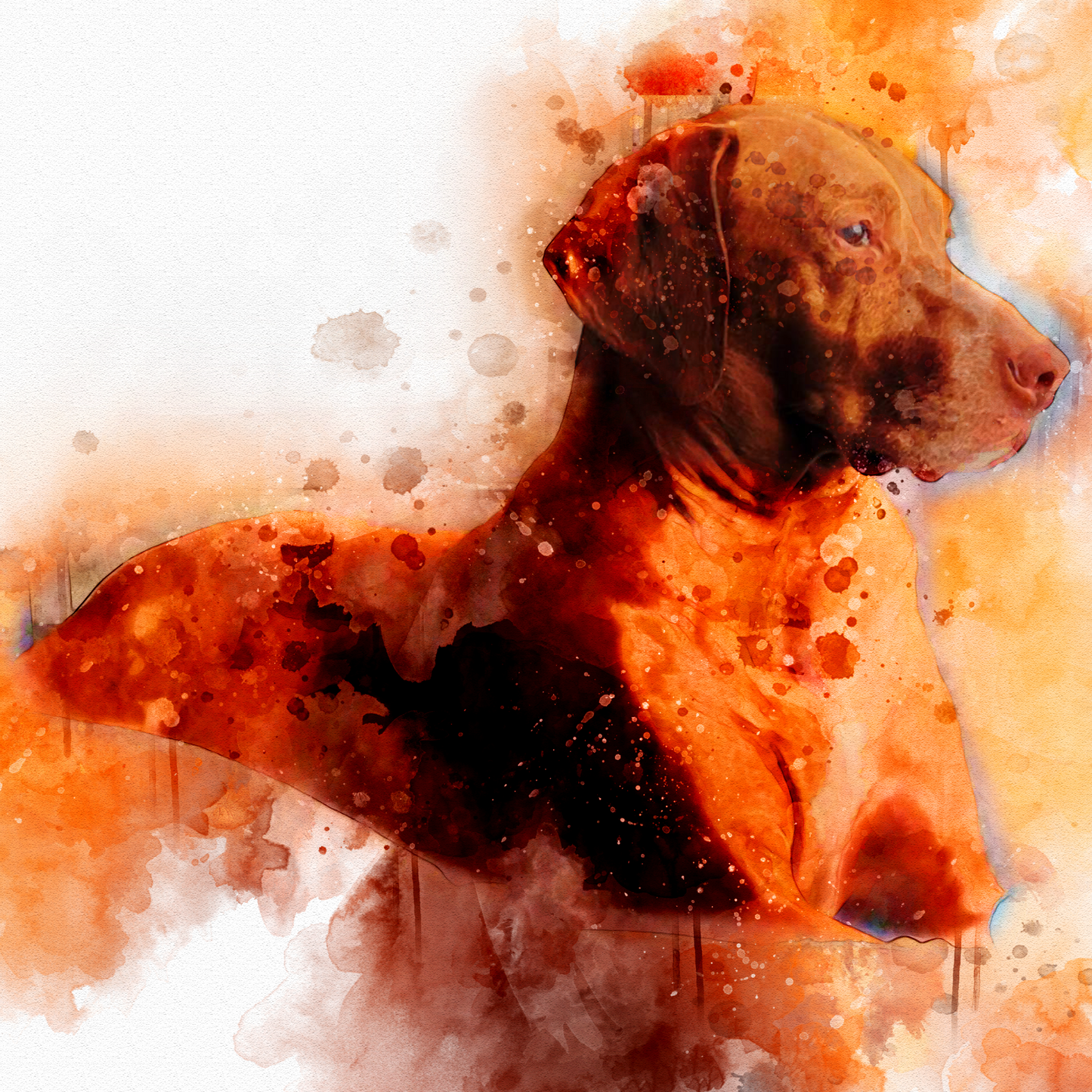 Custom Watercolor Pet Portrait